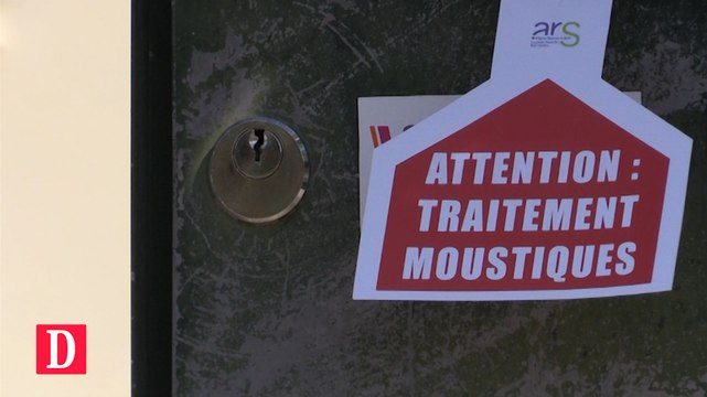 Flash Info 25-08-2016 Alerte Zika dans l'agglomération toulousaine