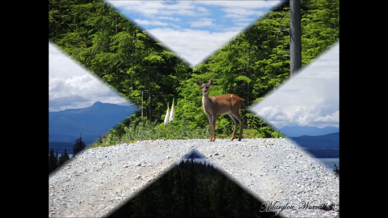Sur la colline d’en face