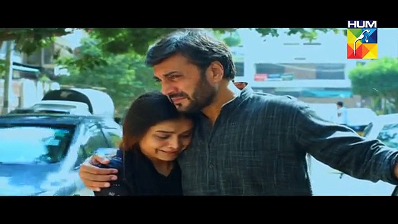 Pakeeza Last Episode 28