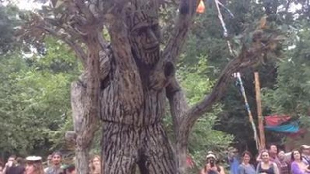 Ent Cosplay : l'arbre vivant du Seigneur des Anneaux existe !