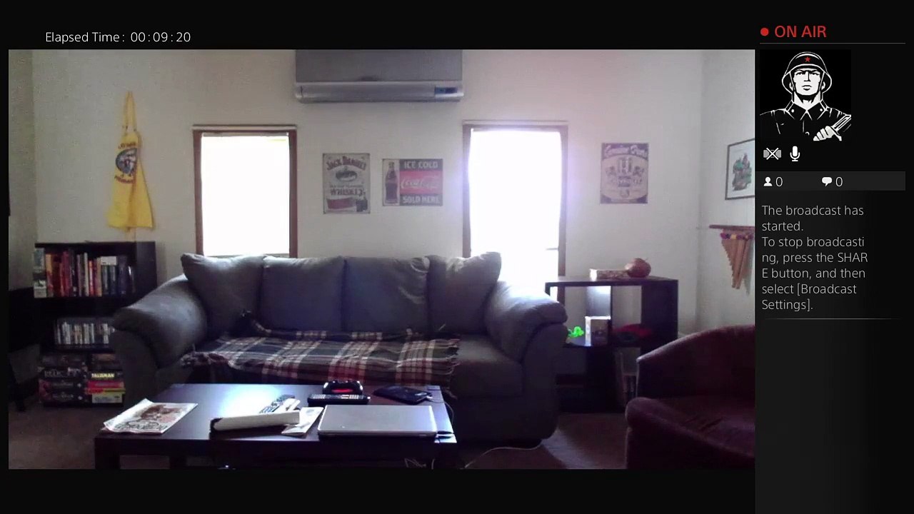 Kitty daycare cam (2)