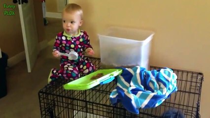 Funny Babies Acting Like Animals Compilation 2015 !