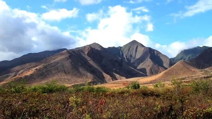 Relight Orchestra -  Elegibo (Addictive Elements Remix)