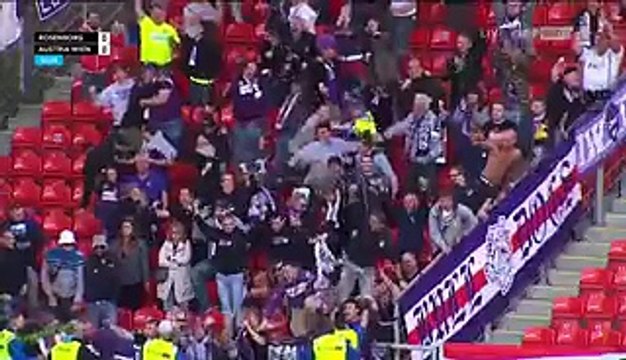 All Goals & Highlights HD - Rosenborg 1-2 Austria Viena - 25.08.2016