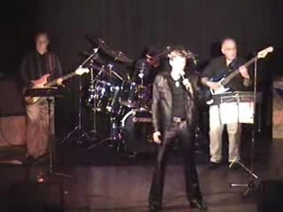 Harleyblues I can't help falling in love