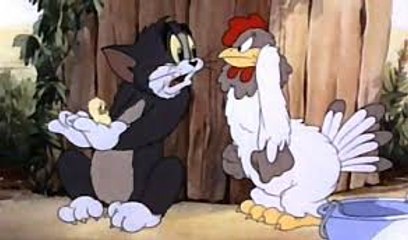 Tom and Jerry - car racing ring - Tom & Jerry in 2016