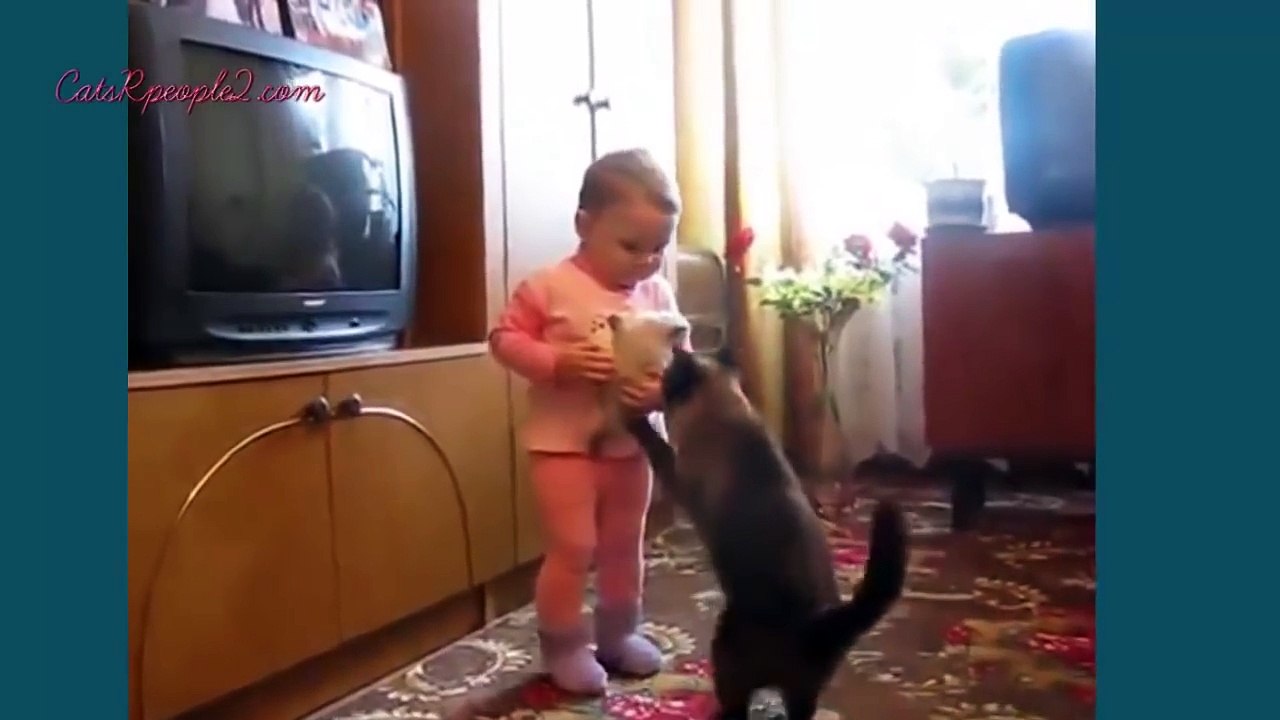 Funny videos Cats 2014 - Fails Compilation 2014[1]