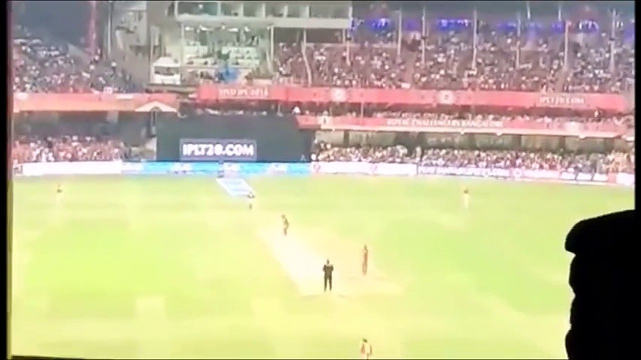 IPL 2016 FINAL FULL Highlights - Sunrisers Hyderabad Champion _ SRH vs RCB Live - Warner is Champion