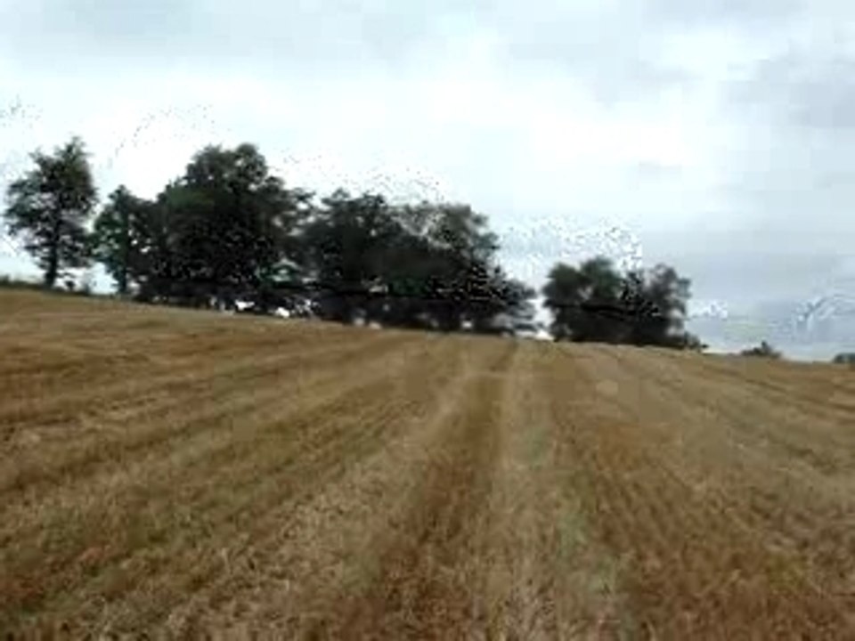 video quad dans les  champs