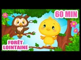 Dans la forêt lointaine -chanson pour les bébés - Titounis