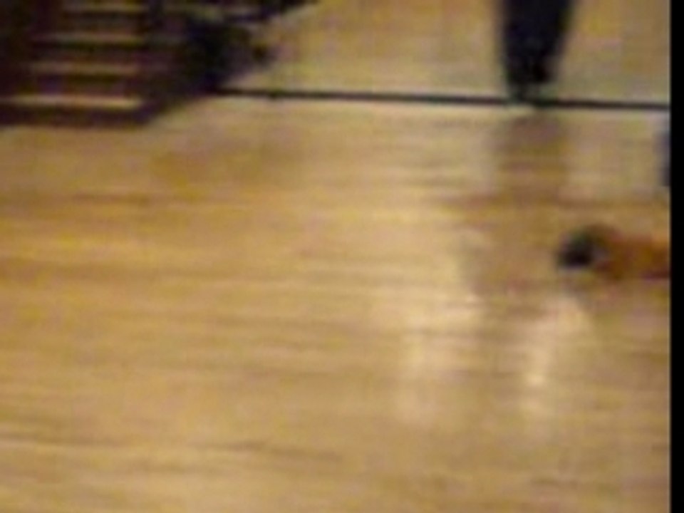 REPETE show dance
