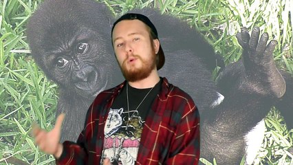 Top 10 Harambe Facts You Might Not Know