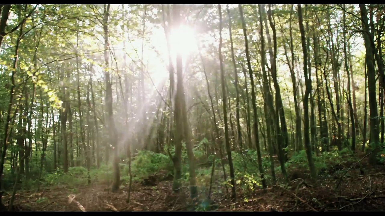Blair Witch Movie 2016