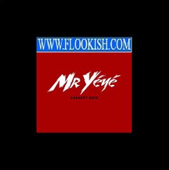 Mr Yéyé - Je ne suis pas une erreur