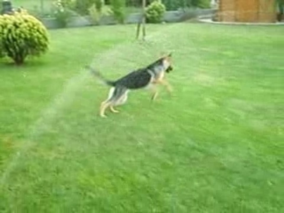 Les jets d'eau des copains c'est chouette