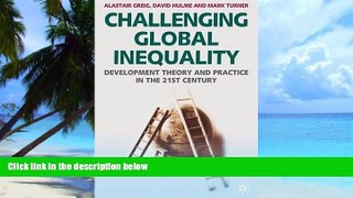 Big Deals  Challenging Global Inequality: Development Theory and Practice in the 21st Century