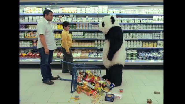 Ne dites jamais non à un Panda ! Publicité hilarante