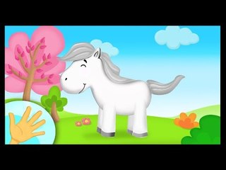 La comptinette à gestes du cheval pour les bébés