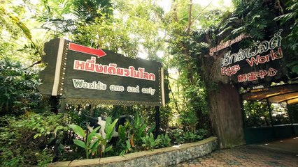 ครัวคริตจานหลัก  |  ซาฟารี พาโนรามา |  24 พ.ค. 58   |   EP.34 |   Part 2/3