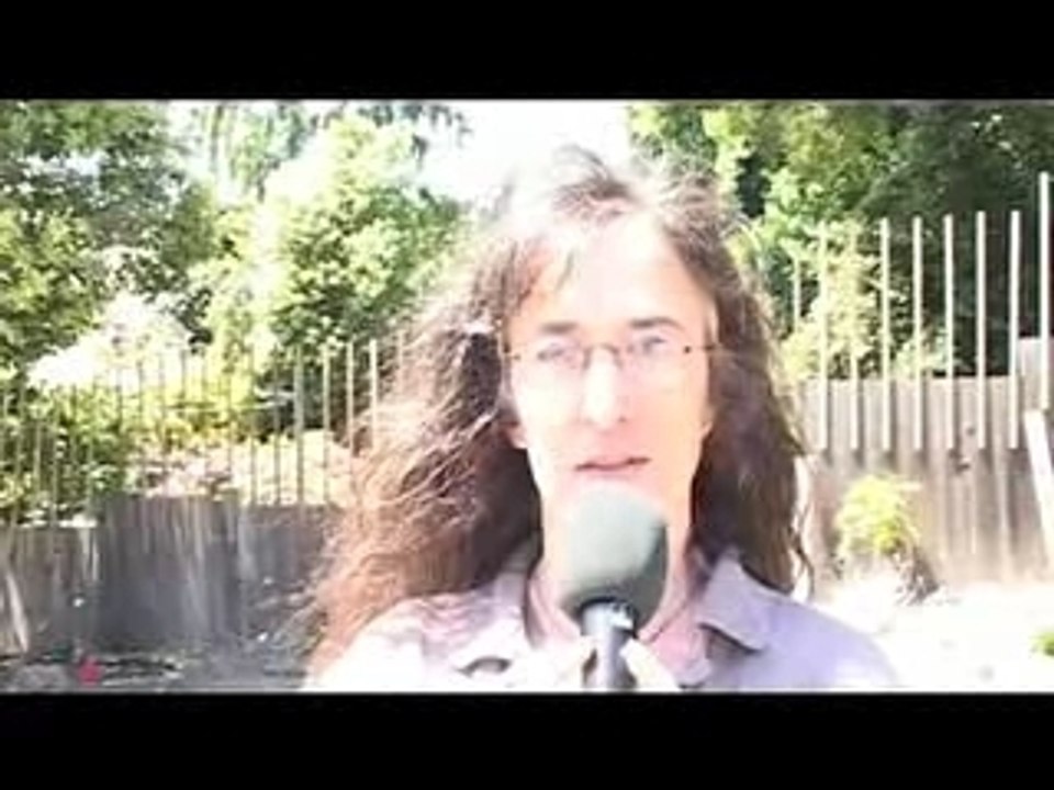 Usa berkeley 2