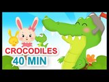 Ah les crocodiles - Ah ! Les crocrocro, les crocrocro - Comptines et chansons pour bébé - Titounis