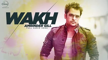 Wakh Ho Gye aa Amrinder Gill Audio Full Song - tNhA Malik