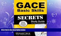 READ book  GACE Basic Skills Secrets Study Guide: GACE Test Review for the Georgia Assessments