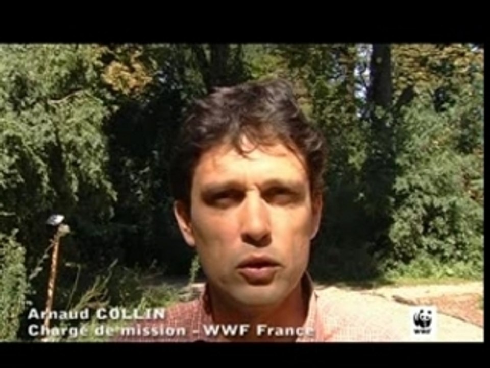 Groupe 2 Arnaud COLLIN
