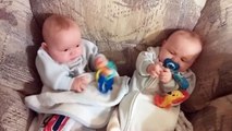 Cute Twin Babies Discover Sharing