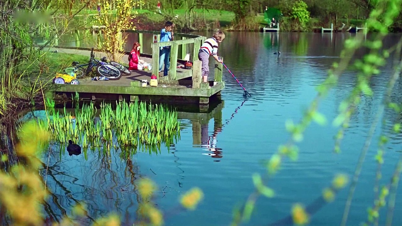 ALFA für Deutschland