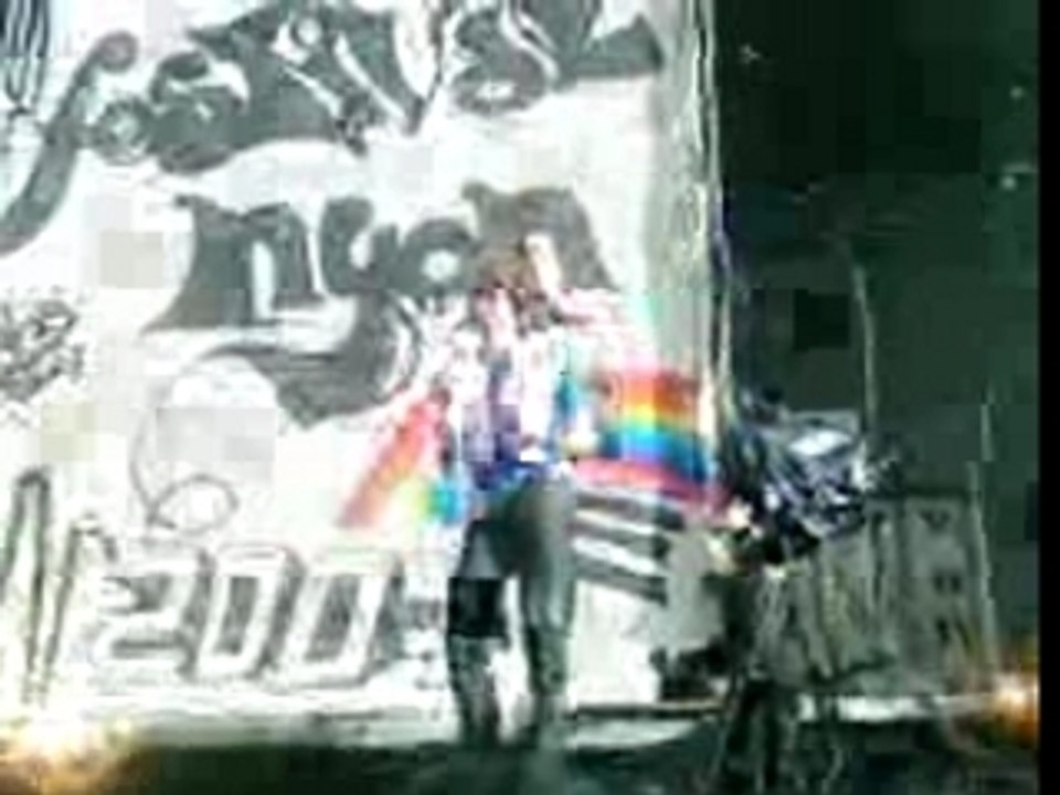 !!! (Chk Chk Chk) au Paleo07