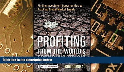 Big Deals  Profiting from the World s Economic Crisis: Finding Investment Opportunities by