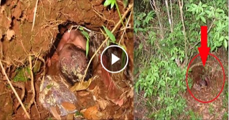 Baby Survives After Being Buried Alive For EIGHT DAYS - Video Dailymotion