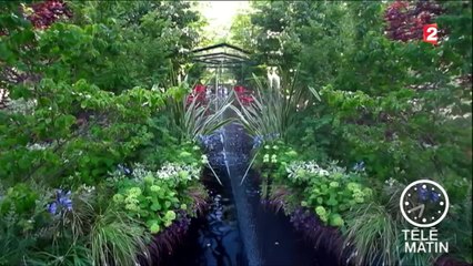 Jardin - Un jardin noir