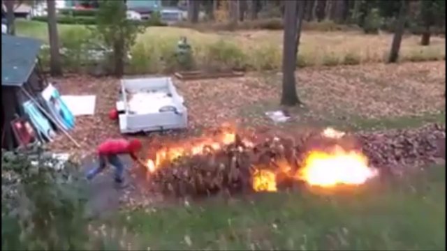 Technique spectaculaire pour cramer des feuilles mortes