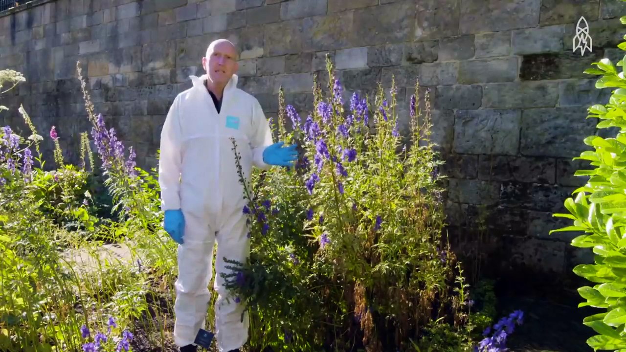 Un jardin composé uniquement des plantes les plus toxiques et mortelles du monde