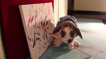 Le lapin artiste le plus adorable de la terre : Bini
