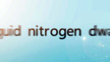 Liquid Nitrogen Container