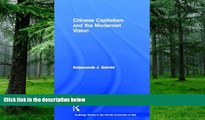 Big Deals  Chinese Capitalism and the Modernist Vision (Routledge Studies in the Growth Economies