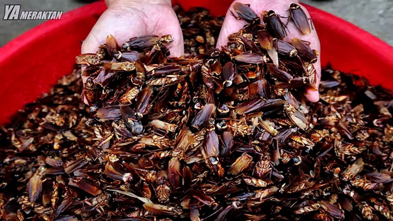 Guinness Rekorlar Kitabına Girmiş En Tuhaf Rekorlar