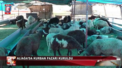 Aliağa’da Kurban Pazarı Kuruldu