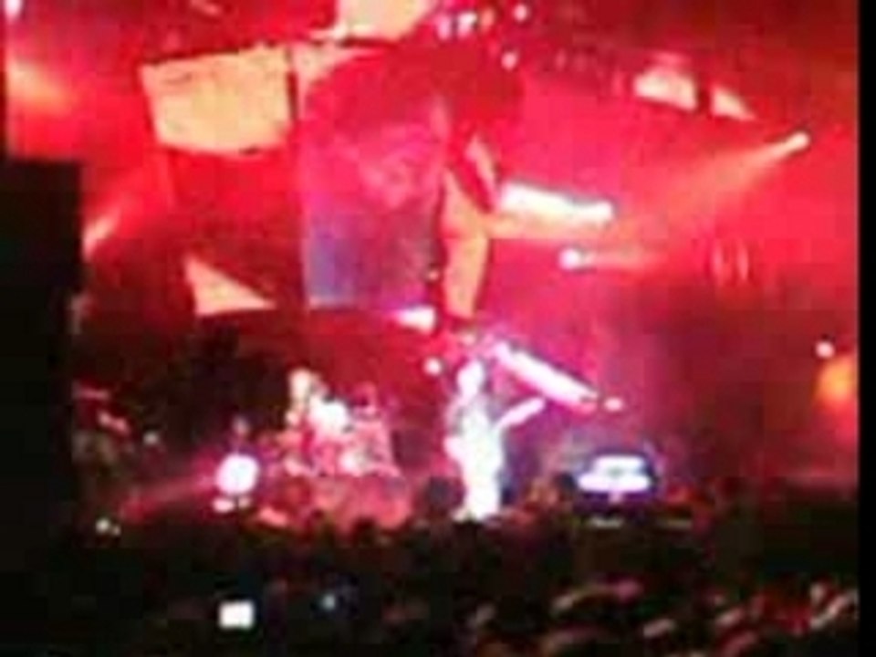 Muse Paleo 07