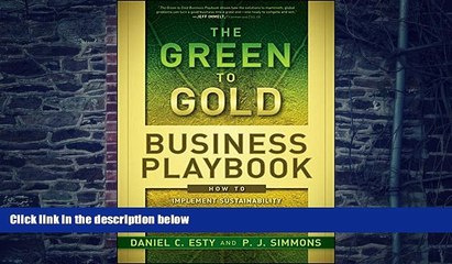 Big Deals  The Green to Gold Business Playbook: How to Implement Sustainability Practices for