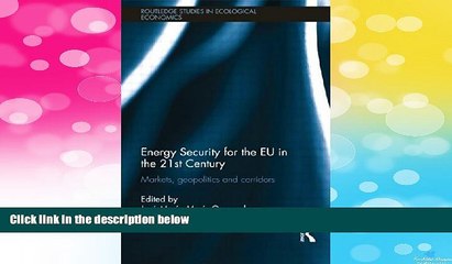 READ FREE FULL  Energy Security for the EU in the 21st Century: Markets, Geopolitics and