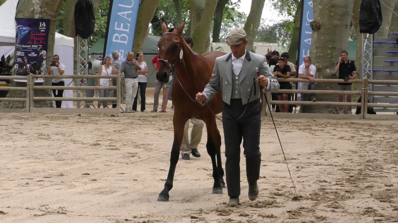 Lancelot de La Gesse