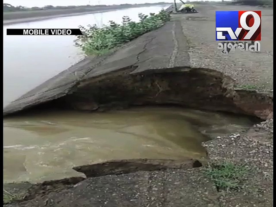 Narmada canal breach destroys crops in Surendranagar - Tv9 Gujarati