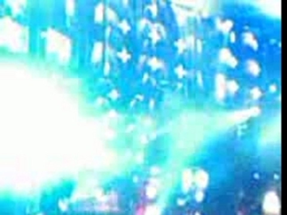 Muse Paleo 07