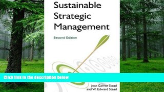 Big Deals  Sustainable Strategic Management  Free Full Read Best Seller