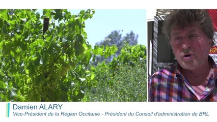 Inauguration du périmètre Hydroagricole du Nord Sommiérois - BRL