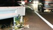 Kamyon Şoförü Pokemon GO Oynarken Bir Kişiyi Öldürdü